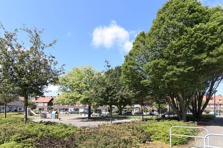 Foto 36 van Leeuwendalersstraat 19