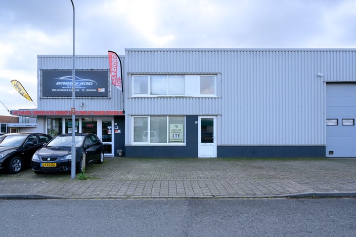 Rinaldostraat 6, Dieren