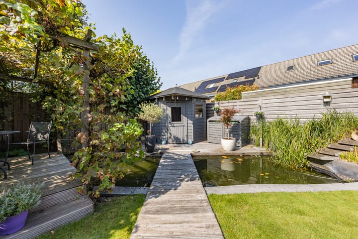 Foto 30 van Pimpernel 15