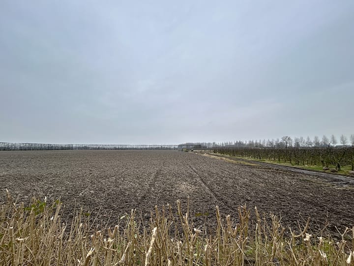 Foto 34 van Nolletjesdijk 3