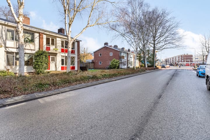 Foto 3 van Laan van de Vrijheid 7