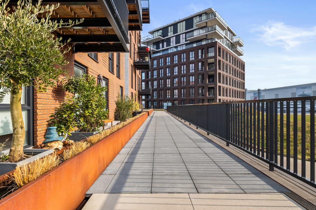 Foto 8 van Zeilmaker 22