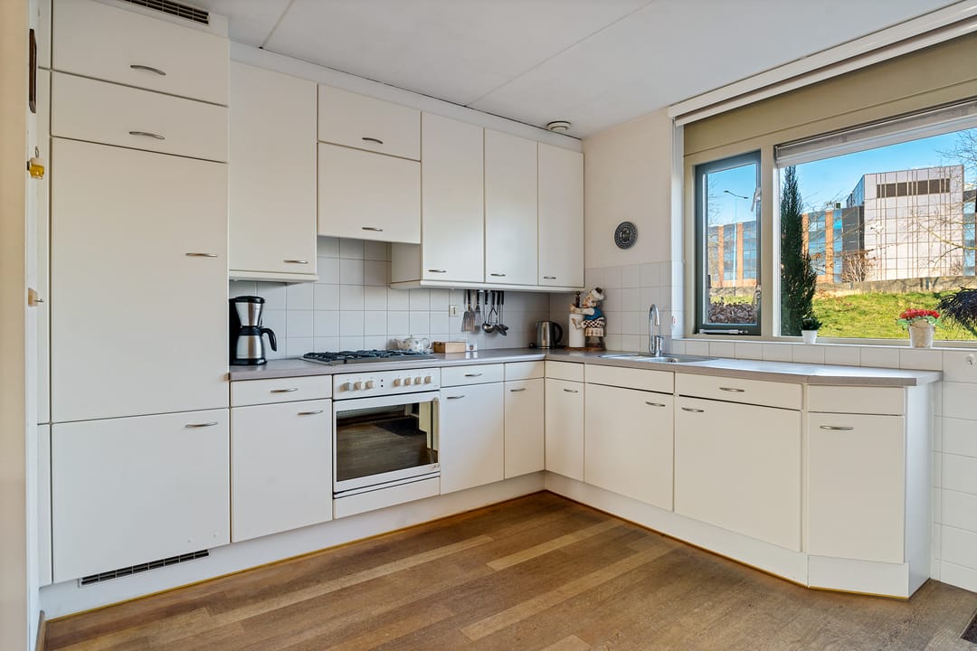 Foto 23 van Van Dijcksbruin 20