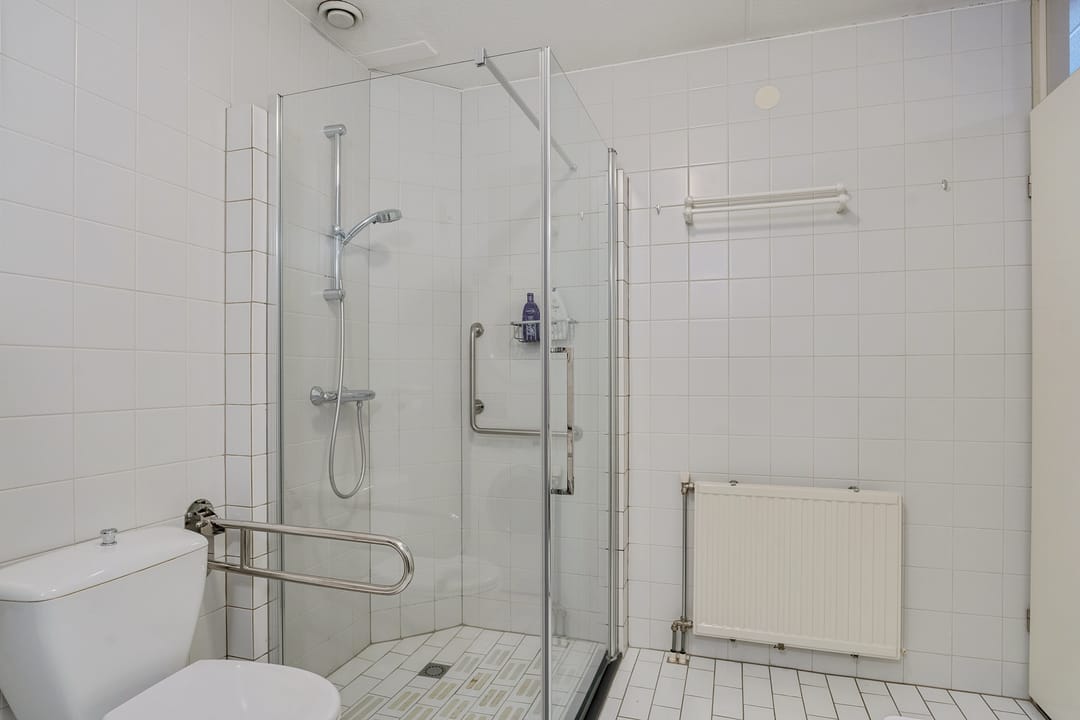 Foto 31 van Van Dijcksbruin 20