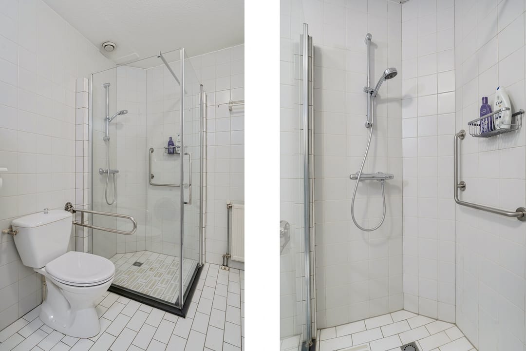 Foto 32 van Van Dijcksbruin 20