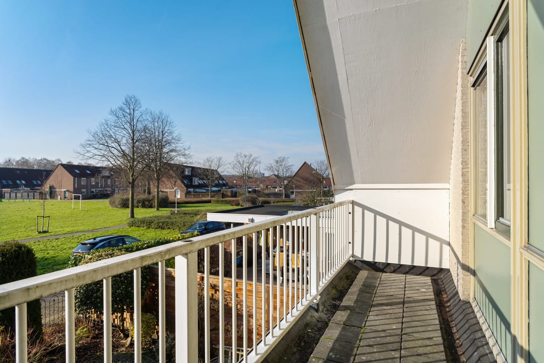 Foto 47 van Van Dijcksbruin 20