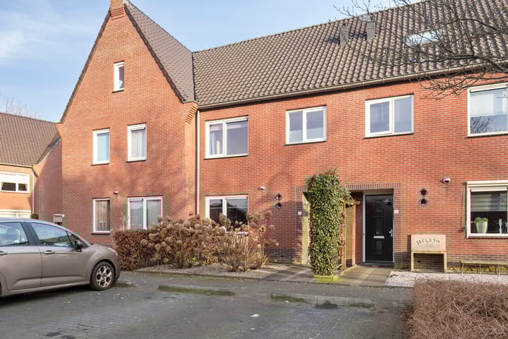 Foto 3 van Sterappel 70