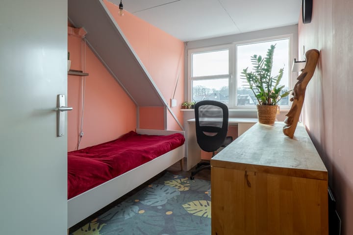 Foto 24 van Rozenbottel 3