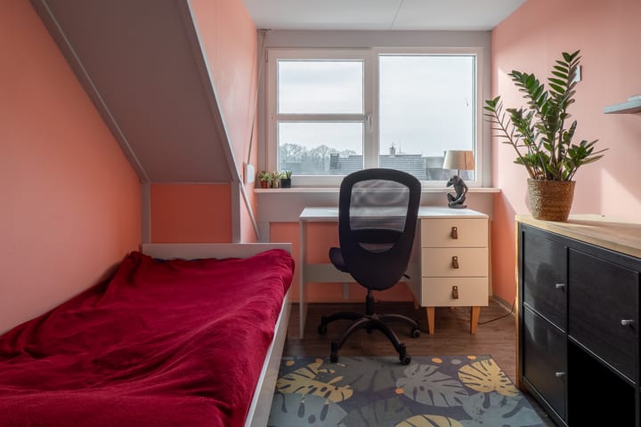 Foto 25 van Rozenbottel 3