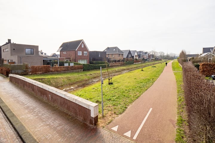 Foto 43 van Rozenbottel 3