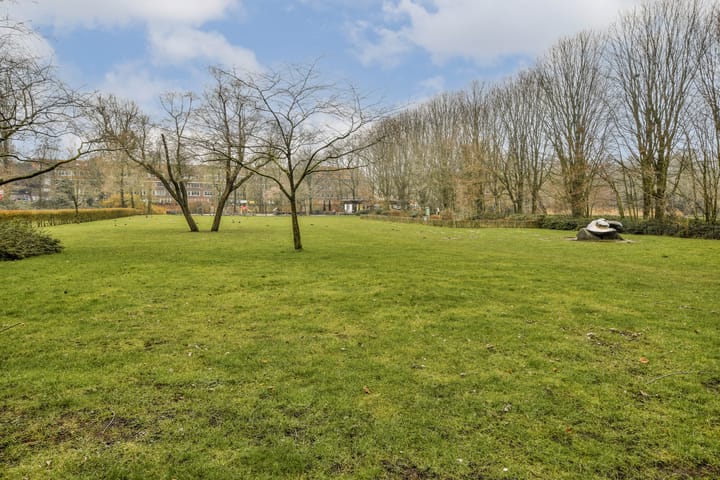 Foto 32 van Vespuccistraat 79-3