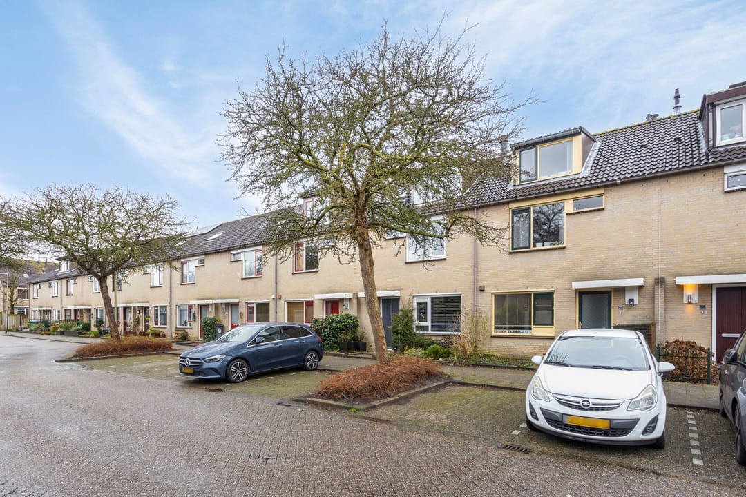 Photo 28 of Schapenweide 25