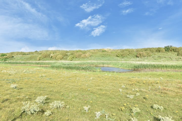 Foto 42 van De Heeren van 's-Gravensande 161