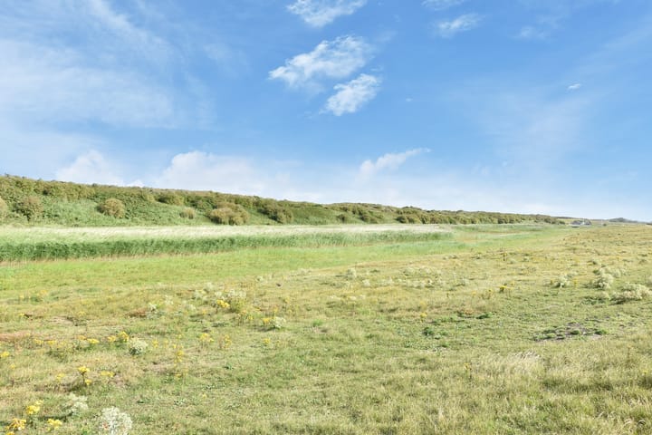 Foto 43 van De Heeren van 's-Gravensande 161