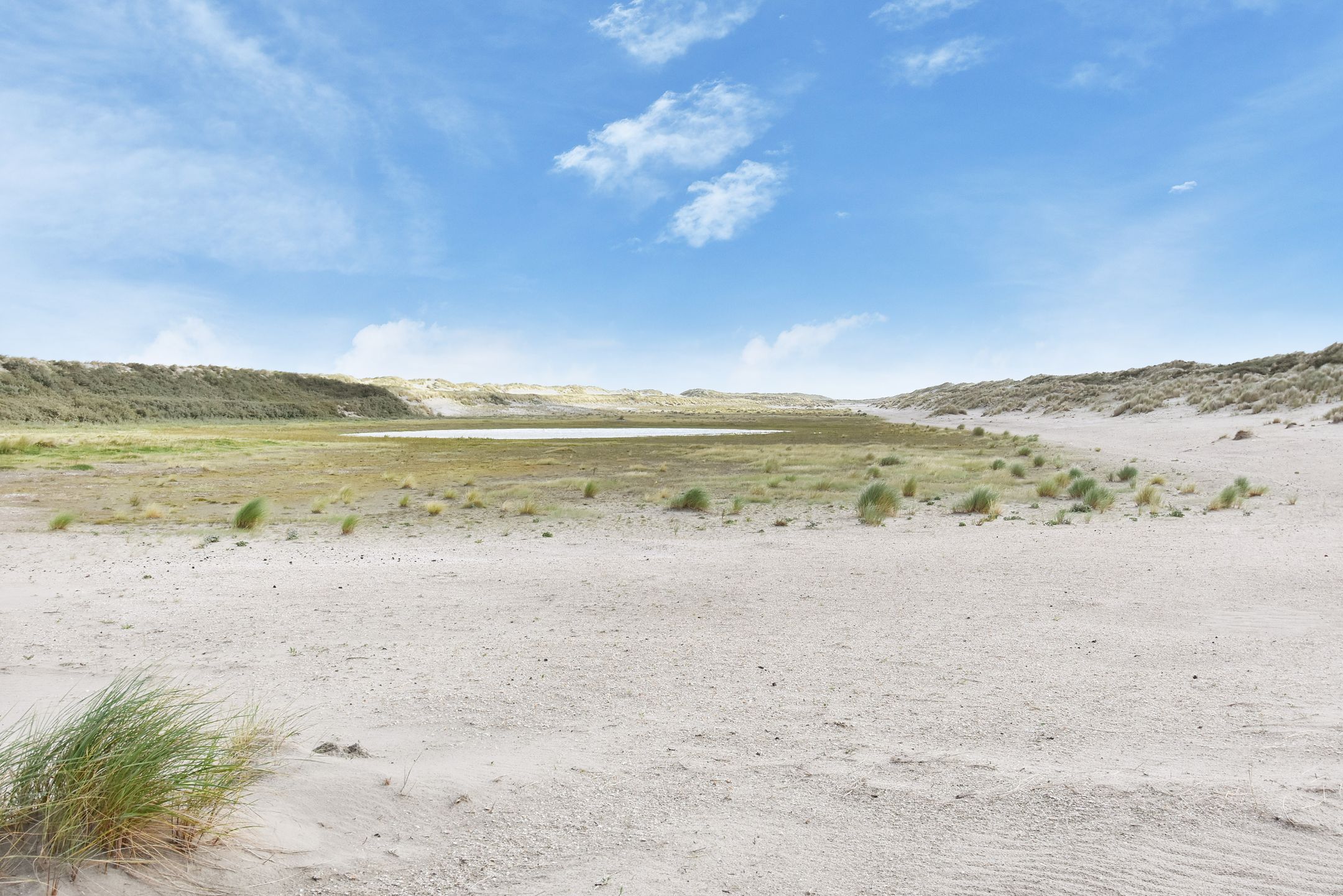 Foto 45 van De Heeren van 's-Gravensande 161