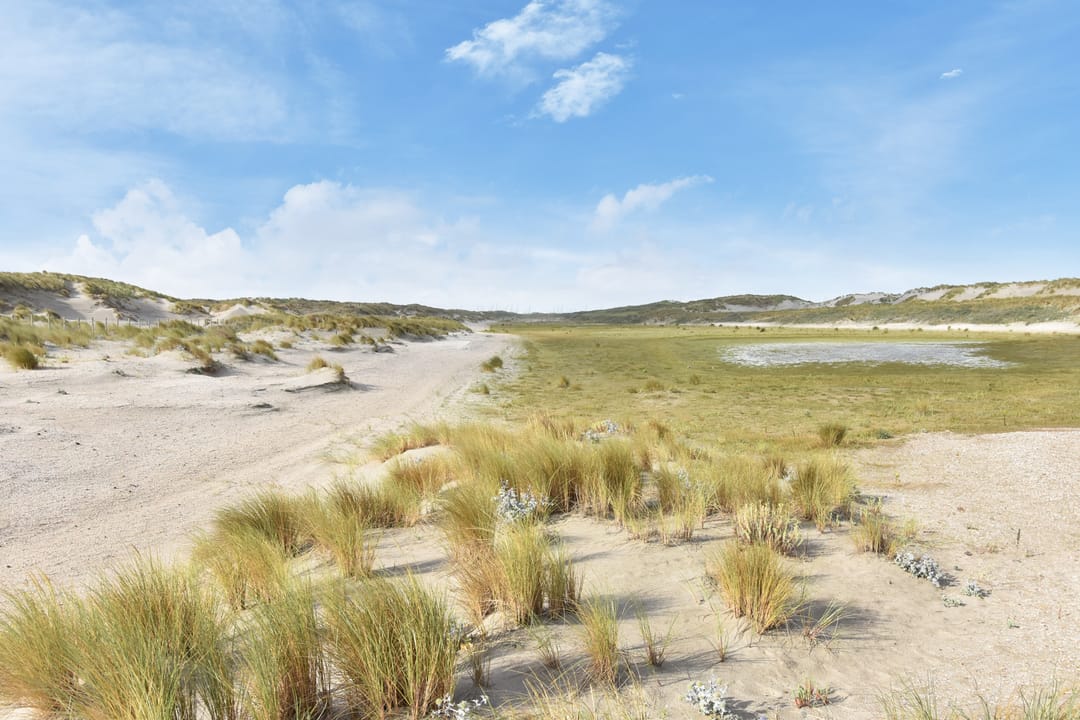 Foto 46 van De Heeren van 's-Gravensande 161