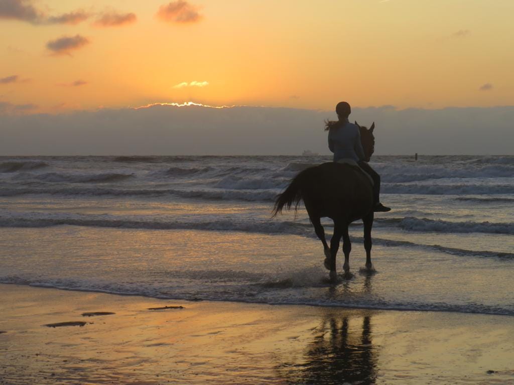 Foto 53 van De Heeren van 's-Gravensande 161