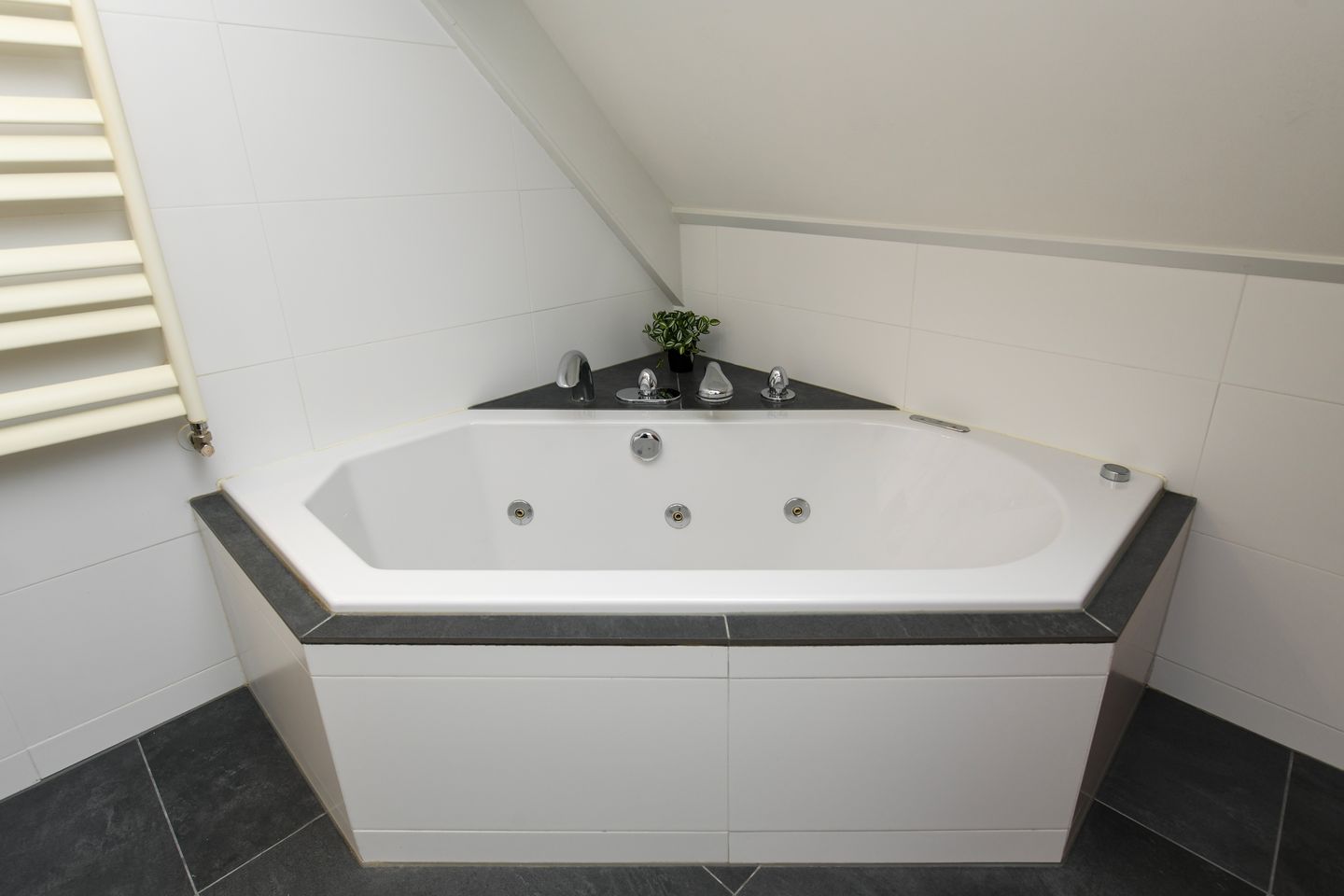 Foto 29 van Hoornseweg 9