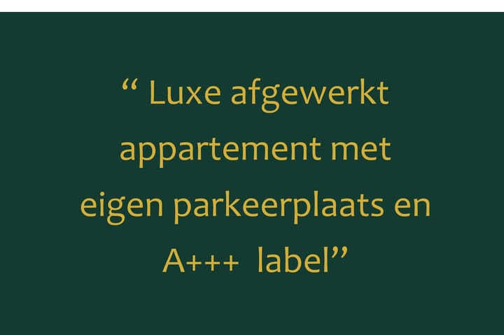 Foto 6 van Dorpsdijk 115-H