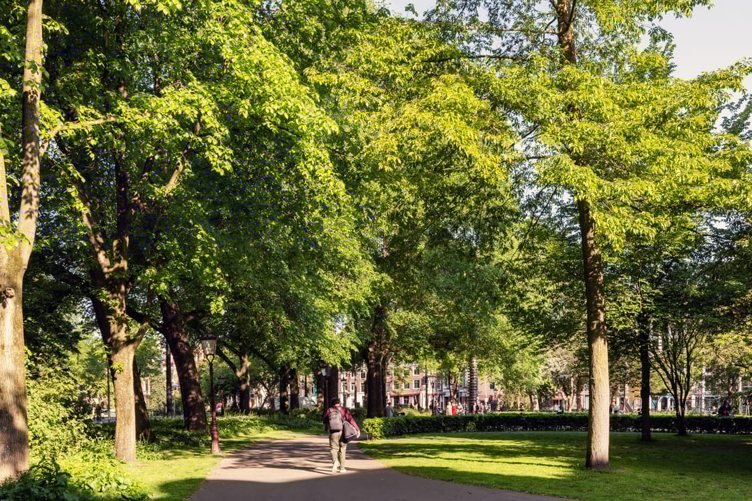 Photo 28 of Utrechtsedwarsstraat 17-C