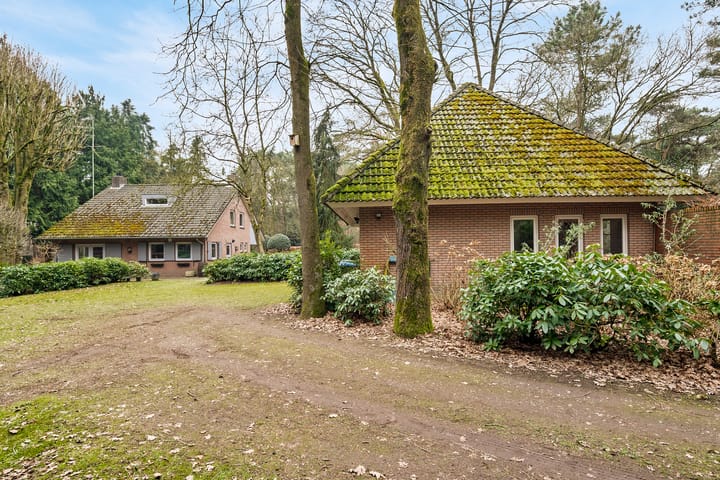 Foto 4 van Vlierdense Bosdijk 15