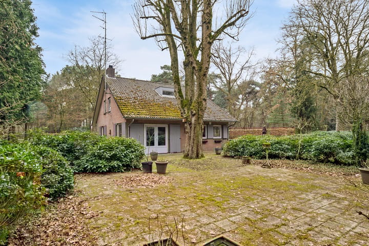 Foto 9 van Vlierdense Bosdijk 15