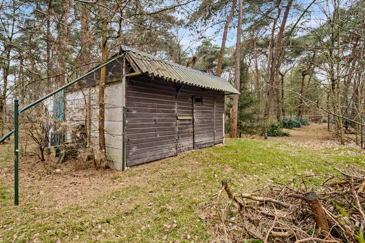 Foto 10 van Vlierdense Bosdijk 15