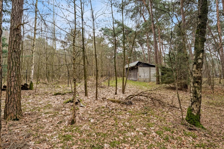 Foto 11 van Vlierdense Bosdijk 15