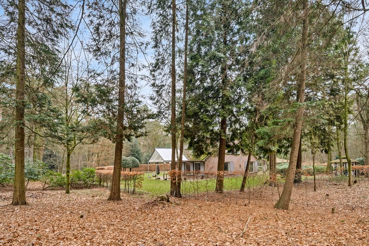 Foto 12 van Vlierdense Bosdijk 15