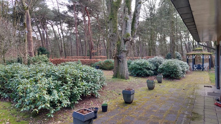 Foto 41 van Vlierdense Bosdijk 15