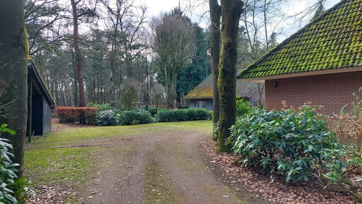 Foto 45 van Vlierdense Bosdijk 15