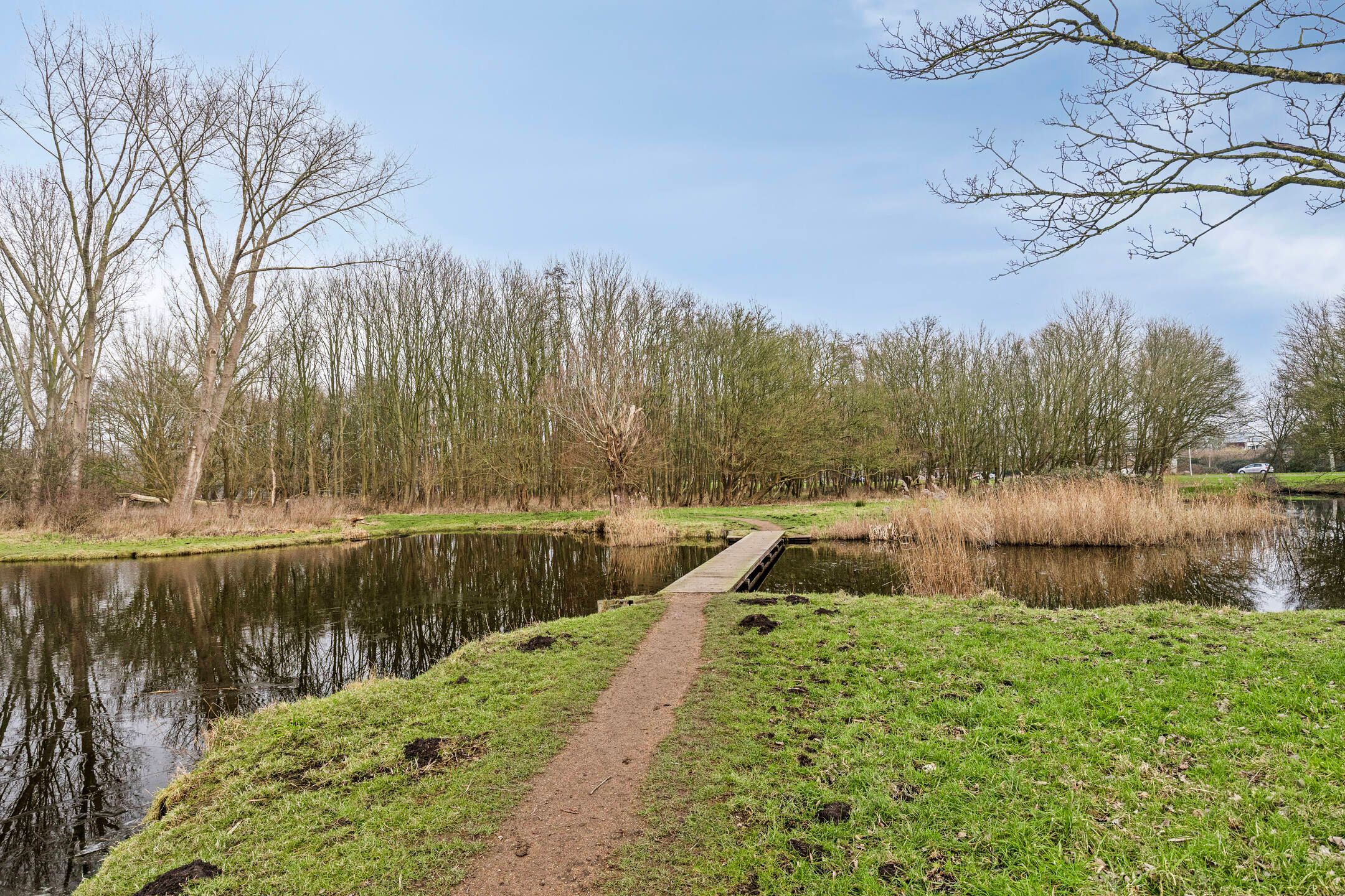 Foto 45 van Hogeweg 35