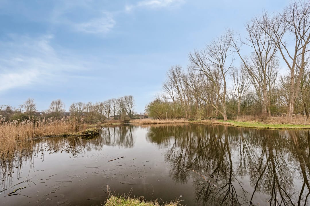 Foto 46 van Hogeweg 35