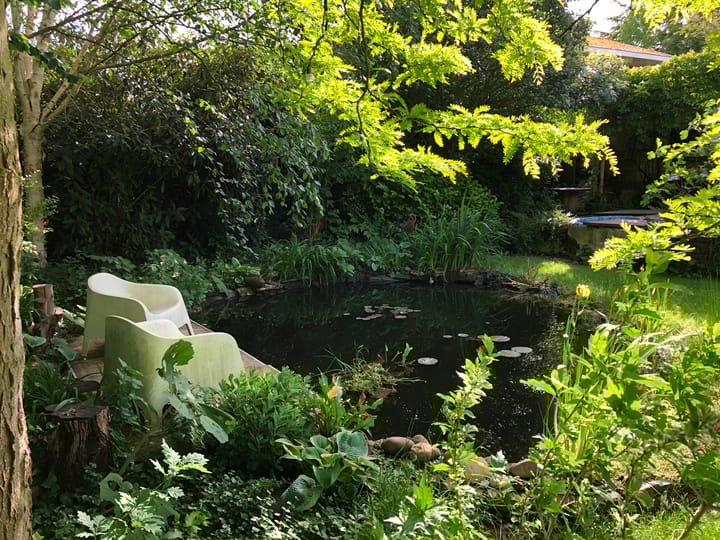 Foto 66 van Spechtlaan 28