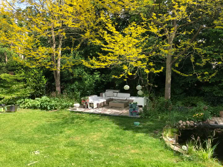 Foto 67 van Spechtlaan 28