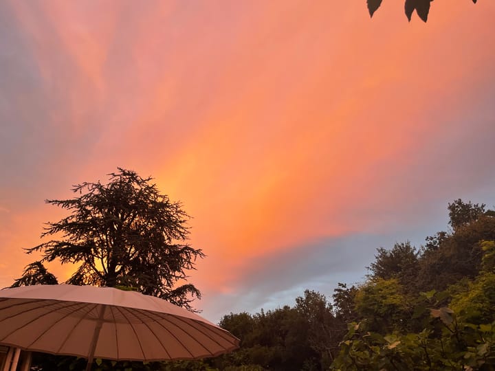 Foto 68 van Spechtlaan 28