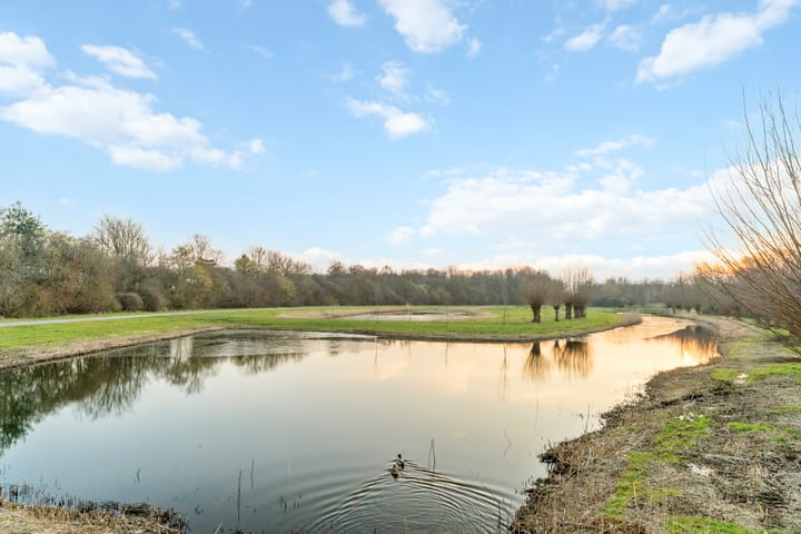 Foto 85 van Spechtlaan 28