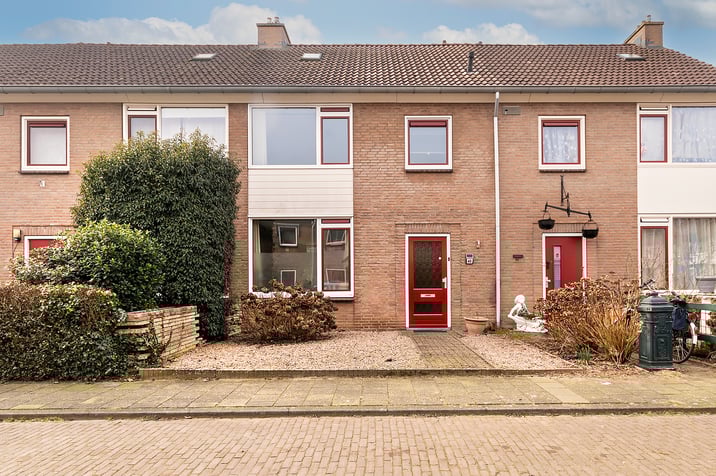 undefined main image