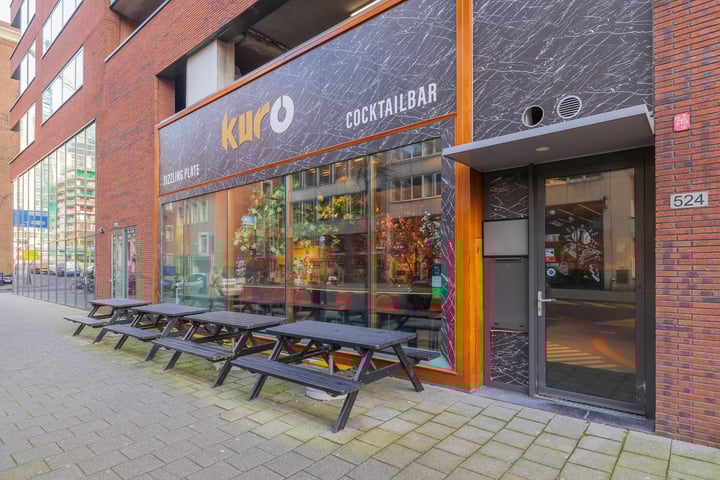 Posthoornstraat 524, Rotterdam