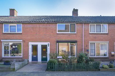 undefined main image