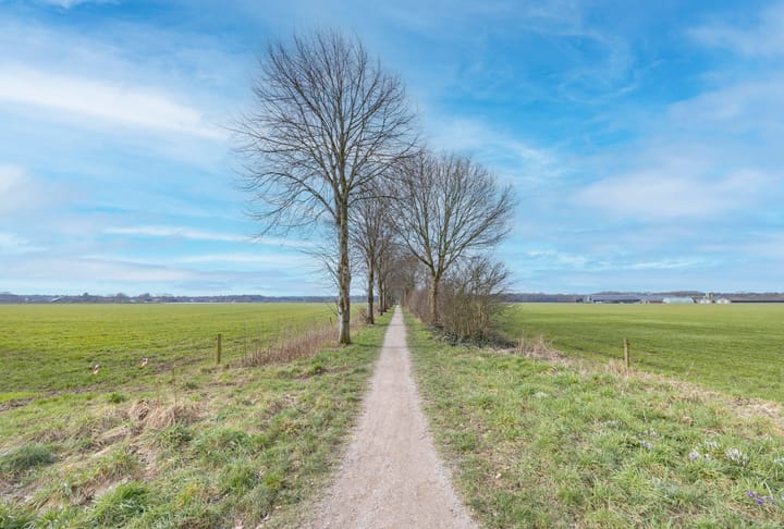 Foto 48 van Hazenberg 21