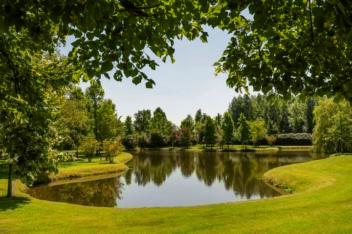 Foto 60 van Rijksstraatweg 177