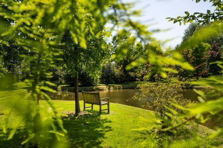 Foto 64 van Rijksstraatweg 177