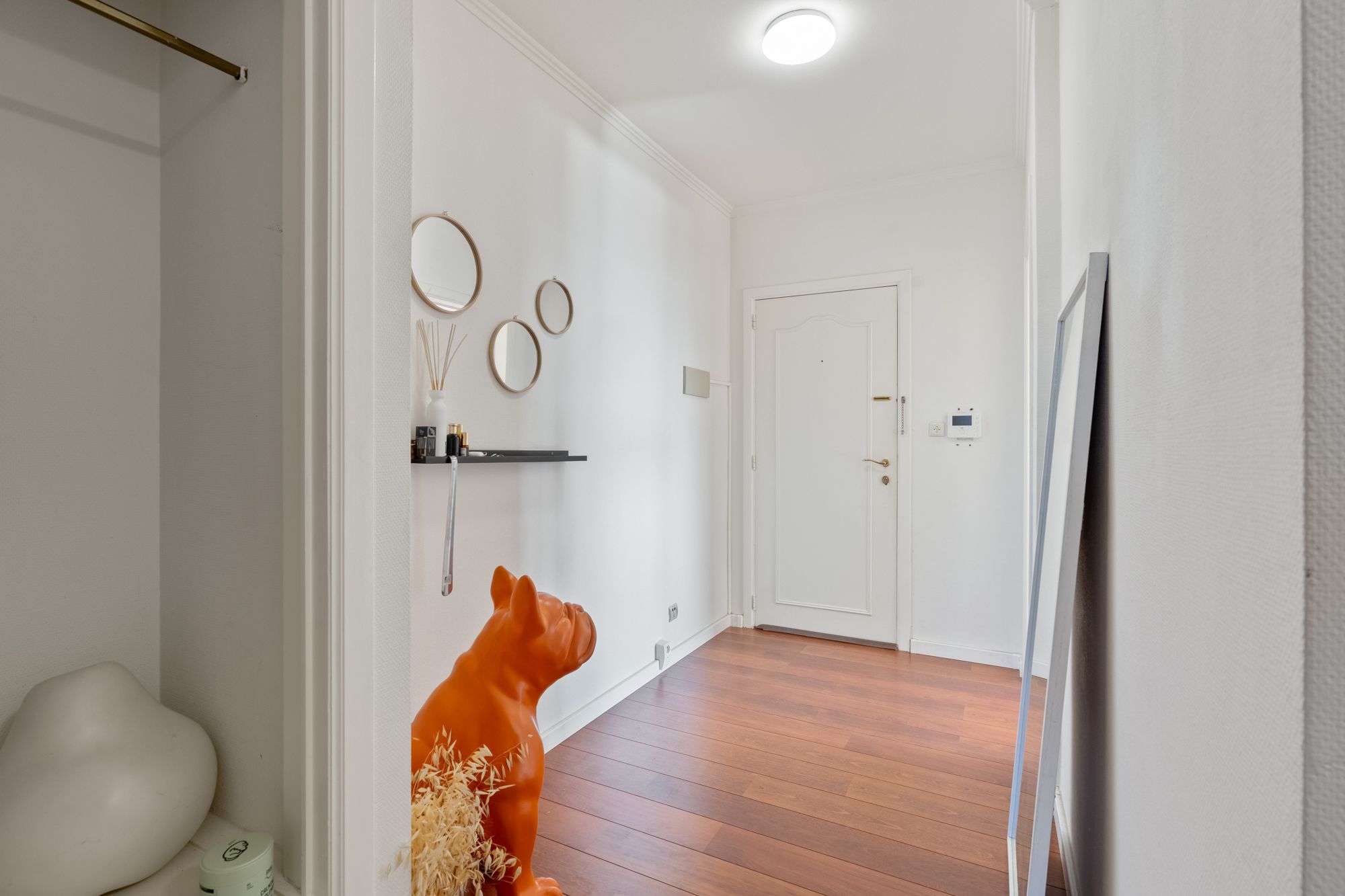 Photo 6 of Pastorijstraat 20/34