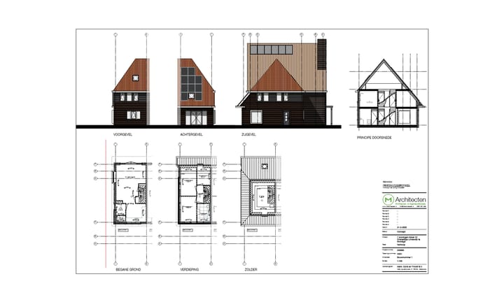 Foto 6 van Oranjetipje