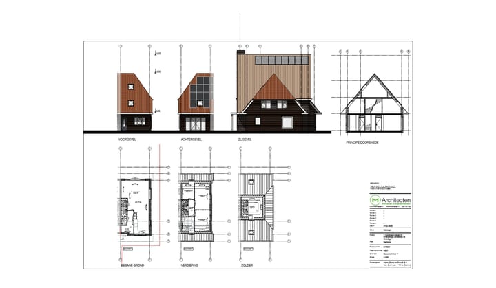 Foto 12 van Oranjetipje