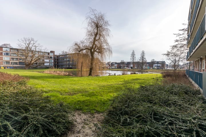 Foto 29 van Oltmansstraat 41