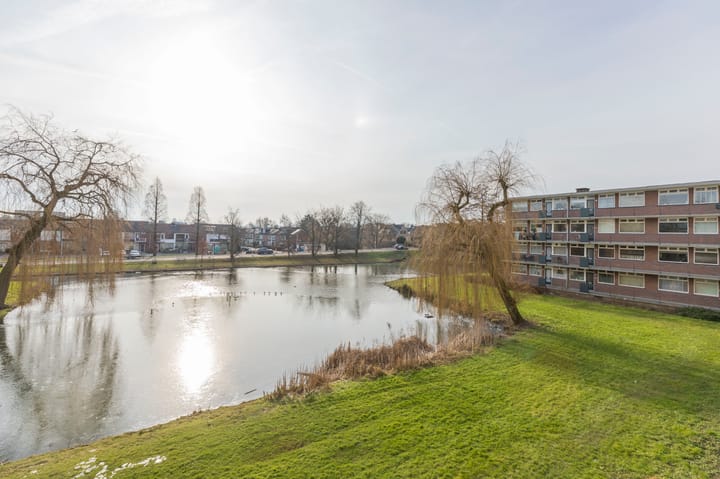 Foto 25 van Oltmansstraat 41