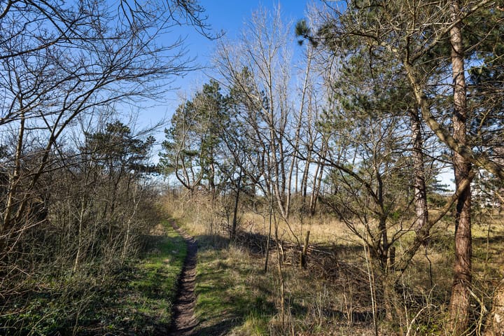 Foto 32 van Saxenrodeweg 110