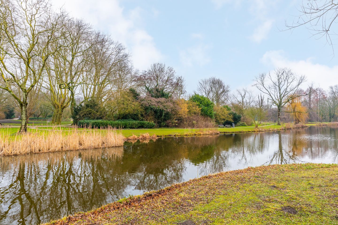 Foto 34 van Rosy Wertheimstraat 53